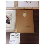 Framed Bird Feather Art from Mexico