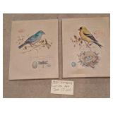 Songbird Canvas Art Set