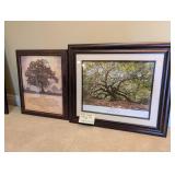 Large Framed Tree Art, Both ~2' to 2.5' h