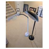 2 Floor Lamps