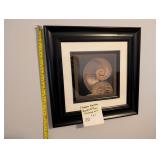 Sepia Nautilus Seashell/Fossil Framed Art (a)