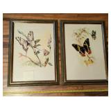 Pair of VTG framed butterfly watercolor art prints