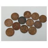 Group Indian Head Pennies & Wheat Back US Coins