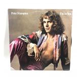 Vinyl Record Peter Frampton In In You