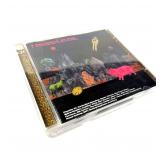 Music CD: Sauceful of PINK FLOYD Tribute