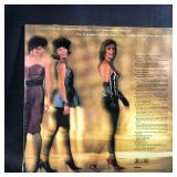 Vinyl Record Expose