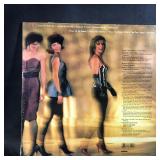 Vinyl Record Expose