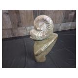 12' Polished Ammonite & Orthocera Combo Fossil