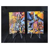 Fanimation Basketball cards