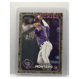 Elehuris Montero 2024 Topps Camo