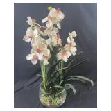 Orchid White In heavy glass bowl  28t
