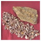 Leopard Skin Agates and unknown Rock with Brown