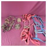 Horse Bits with Nylon Reigns and Harnesess