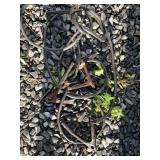 Set of Have duty jumper cables