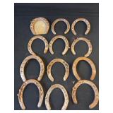 12 Horseshoes