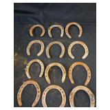 12 Horseshoes