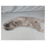 Black Mink? Fur Shaw 35" long