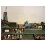 Contents of green shelf and green shelf included