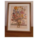 Robert Furber - Twelve Months of Flowers