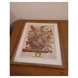 Robert Furber - Twelve Months of Flowers