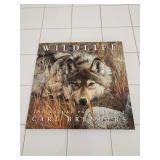 WILDLIFE the NATURE PAINTINGS OF CARL BRENDERS