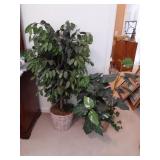 2 fake house plants 56 x 12 and 38 x 8