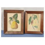 9x11 fruit wall hangings
