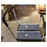 Bedside step stool with removable rails 31 in