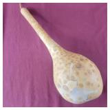 Gourd (with seeds inside)
