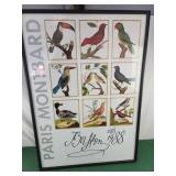 24x34.5 PARIS MONTARD BIRD FRAMED PRINT