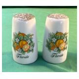 Set of Florida salt and pepper shakers