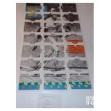 Complete 1991 Studio Rod Carew Puzzle - Great