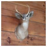 3pt Deer mount