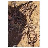 Tow chain with hooks