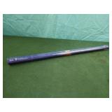 Trends International Broncos-Peyton Manning 12