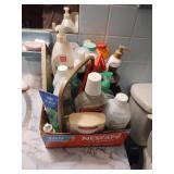 Bathroom lot including rubbing alcohol, aloe vera