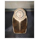 Health o metal professional scale
