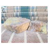Petrified wood one large piece broken in two,