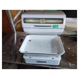 Vintage Globe Stimpson scale