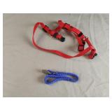Extra small dog leash and harness