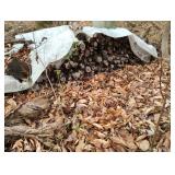 Pile of chopped wood