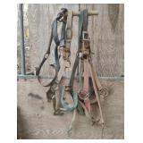 Horse bridles