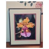 Framed Flower Print 12"x 14"
