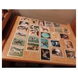 National Geographic collectors cards