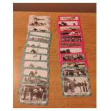 Horse Star collectors cards