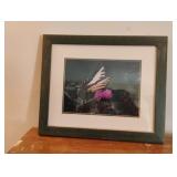 Butterfly matted framed photo 16.5 x 13.5
