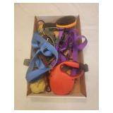 Dog leashes and brush