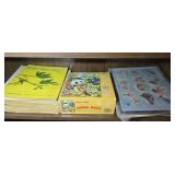 Top Shelf on Left- Activity Books, Puzzle &