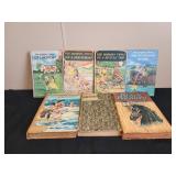BOBBSEY TWINS VINTAGE BOOKS AND BLACK BEAUTY