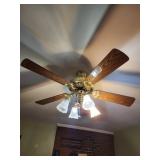 Ceiling fan have to remove yourself LR